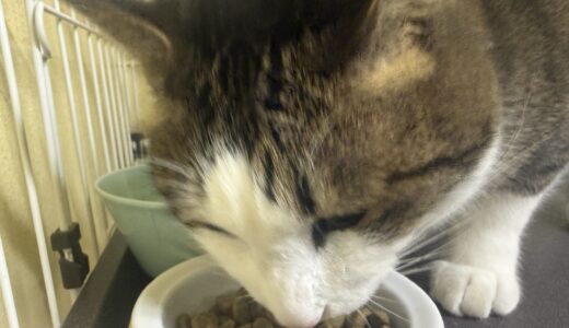 おはようございます😊